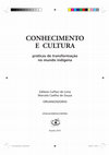 Research paper thumbnail of Assimetria e coletivização: notas sobre chefes e caraíbas na política Kalapalo (Alto Xingu, MT)