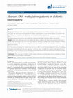 Research paper thumbnail of Aberrant DNA methylation patterns in diabetic nephropathy