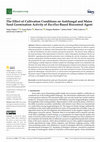 Research paper thumbnail of The Effect of Cultivation Conditions on Antifungal and Maize Seed Germination Activity of Bacillus-Based Biocontrol Agent