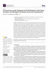 Research paper thumbnail of An Overview on the Treatment of Oil Pollutants in Soil Using Synthetic and Biological Surfactant Foam and Nanoparticles