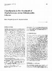 Research paper thumbnail of Ciprofloxacin in the treatment of Staphylococcus aureus osteomyelitis a review