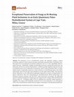 Research paper thumbnail of Exceptional Preservation of Fungi as H2-Bearing Fluid Inclusions in an Early Quaternary Paleo-Hydrothermal System at Cape Vani, Milos, Greece