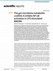 Research paper thumbnail of The gut microbiota metabolite urolithin A inhibits NF-κB activation in LPS stimulated BMDMs