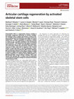 Research paper thumbnail of Articular cartilage regeneration by activated skeletal stem cells