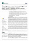 Research paper thumbnail of Limbic Responses to Aversive Visual Stimuli during the Acute and Recovery Phase of Takotsubo Syndrome