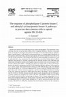 Research paper thumbnail of The response of phospholipase C/protein kinase C and adenylyl cyclase/protein kinase A pathways in porcine theca interna cells to opioid agonist FK 33-824