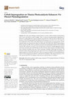 Research paper thumbnail of Cobalt Impregnation on Titania Photocatalysts Enhances Vis Phenol Photodegradation