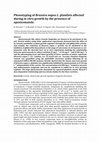 Research paper thumbnail of Phenotyping of Brassica napus L. plantlets affected during in vitro growth by the presence of epoxiconazole