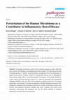 Research paper thumbnail of Perturbation of the Human Microbiome as a Contributor to Inflammatory Bowel Disease