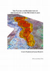 Research paper thumbnail of THE NATURE AND DISTRIBUTION OF ARCHAEOLOGY AT THE MENINDEE LAKES