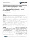 Research paper thumbnail of Dynamics of neuroinflammation in the macrosphere model of arterio-arterial embolic focal ischemia: an approximation to human stroke patterns