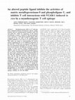 Research paper thumbnail of An altered peptide ligand inhibits the activities of matrix metalloproteinase‐9 and phospholipase C, and inhibits T cell interactions with VCAM‐1 induced in vivo by a myasthenogenic T cell epitope