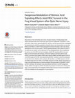 Research paper thumbnail of Exogenous Modulation of Retinoic Acid Signaling Affects Adult RGC Survival in the Frog Visual System after Optic Nerve Injury