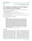 Research paper thumbnail of From Chihuahua to Saint-Bernard: how did digestion and microbiota evolve with dog sizes