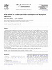 Research paper thumbnail of Head anatomy of Xyelidae (Hexapoda: Hymenoptera) and phylogenetic implications