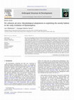 Research paper thumbnail of Per arborem ad astra: Morphological adaptations to exploiting the woody habitat in the early evolution of Hymenoptera