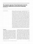 Research paper thumbnail of The ovipositor apparatus of basal Hymenoptera (Insecta): phylogenetic implications and functional morphology