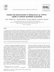 Research paper thumbnail of Isolation and characterization of Sphingomonas sp. GTIN11 capable of carbazole metabolism in petroleum