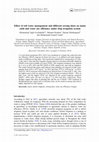 Research paper thumbnail of Effect of soil water management and different sowing dates on maize yield and water use efficiency under drip irrigation system