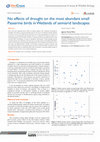 Research paper thumbnail of No effects of drought on the most abundant small Passerine birds in Wetlands of semiarid landscapes