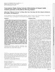 Research paper thumbnail of Transcriptome Display During Testicular Differentiation of Channel Catfish (Ictalurus punctatus) as Revealed by RNA-Seq Analysis