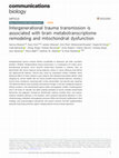 Research paper thumbnail of Intergenerational trauma transmission is associated with brain metabotranscriptome remodeling and mitochondrial dysfunction