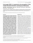 Research paper thumbnail of Full length RTEL1 is required for the elongation of the single-stranded telomeric overhang by telomerase