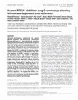 Research paper thumbnail of Human RTEL1 stabilizes long G-overhangs allowing telomerase-dependent over-extension