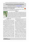 Research paper thumbnail of Improving Salt-Affected Soils and Productivity of Alfalfa by Using some
Soil Conditioners and Subsoiling Tillage