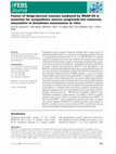 Research paper thumbnail of Fusion of Golgi-derived vesicles mediated by SNAP-25 is essential for sympathetic neuron outgrowth but relatively insensitive to botulinum neurotoxinsin vitro