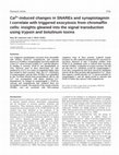 Research paper thumbnail of Ca2+-induced changes in SNAREs and synaptotagmin I correlate with triggered exocytosis from chromaffin cells: insights gleaned into the signal transduction using trypsin and botulinum toxins