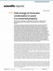 Research paper thumbnail of Fold-change of chromatin condensation in yeast is a conserved property