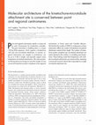 Research paper thumbnail of Molecular architecture of the kinetochore-microtubule attachment site is conserved between point and regional centromeres