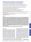 Research paper thumbnail of Adaptive Resistance Mutations at Suprainhibitory Concentrations Independent of SOS Mutagenesis