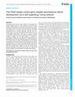 Research paper thumbnail of The <i>Pax6</i> master control gene initiates spontaneous retinal development via a self-organising Turing network