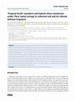 Research paper thumbnail of ‘Tropical Sunki’ mandarin and hybrid citrus rootstocks under ‘Pera’ sweet orange in cohesive soil and As climate without irrigation