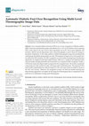 Research paper thumbnail of Automatic Diabetic Foot Ulcer Recognition Using Multi-Level Thermographic Image Data