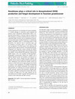 Research paper thumbnail of Hexokinase plays a critical role in DON production and fungal development in Fusarium graminearum