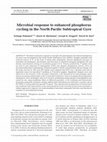 Research paper thumbnail of Microbial response to enhanced phosphorus cycling in the North Pacific Subtropical Gyre