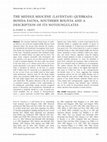 Research paper thumbnail of THE MIDDLE MIOCENE (LAVENTAN) QUEBRADA HONDA FAUNA, SOUTHERN BOLIVIA and A DESCRIPTION OF ITS NOTOUNGULATES