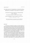 Research paper thumbnail of Las glauconitas de la plataforma continental gallega: indicadores geoquímicos del grado de evolución