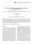 Research paper thumbnail of SANS Study of CdS and CdSe Quantum Dot Crystal Growth in a Silica Matrix by Sol-Gel