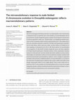 Research paper thumbnail of The microevolutionary response to male‐limited X‐chromosome evolution in<i>Drosophila melanogaster</i>reflects macroevolutionary patterns