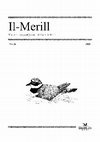 Research paper thumbnail of Il-Merill : the ornithological journal of BirdLife Malta no. 31