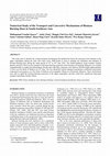 Research paper thumbnail of Numerical Study of the Transport and Convective Mechanisms of Biomass Burning Haze in South-Southeast Asia