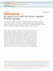 Research paper thumbnail of βIV-spectrin as a stalk cell-intrinsic regulator of VEGF signaling