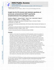 Research paper thumbnail of Insight into the 3D structure and substrate specificity of previously uncharacterized GNAT superfamily acetyltransferases from pathogenic bacteria