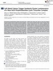 Research paper thumbnail of Soft Metal Cations Trigger Sandwich‐Cluster Luminescence of a New Au(I)‐Vinylimidazolate Cyclic Trinuclear Complex