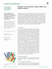 Research paper thumbnail of Structure of isochorismate synthase DhbC fromBacillus anthracis