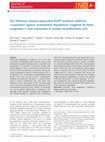 Research paper thumbnail of The Parkinson disease‐associated A30P mutation stabilizes α‐synuclein against proteasomal degradation triggered by heme oxygenase‐1 over‐expression in human neuroblastoma cells